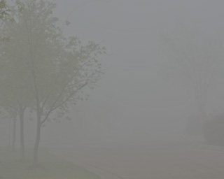 2011-05-19: Foggy Morning